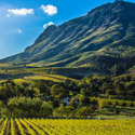 Grand Tour of South Africa Grand Tour of South Africa